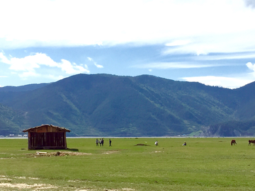 藏区牧场 