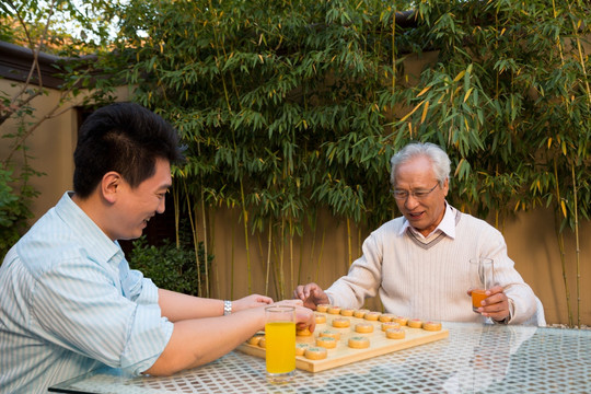 父子在庭院里下棋