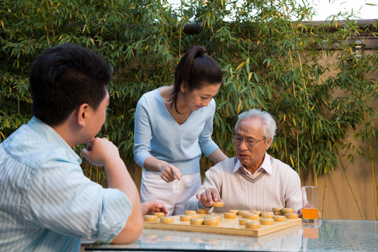 父子在庭院里下棋