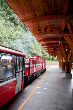 台湾阿里山