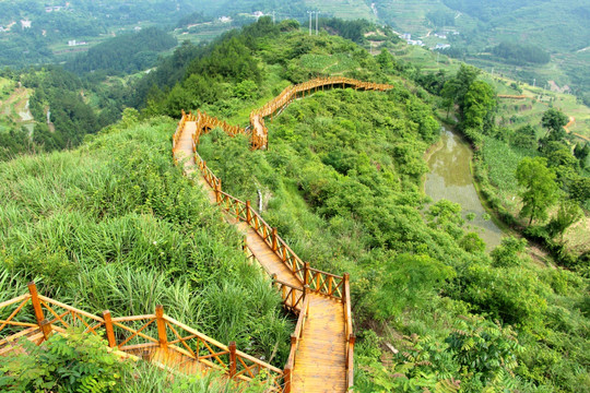 景区栈道 步梯 木梯 游步道