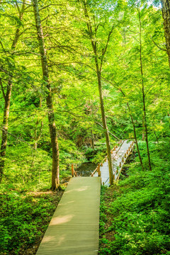 长白山瀑布景区