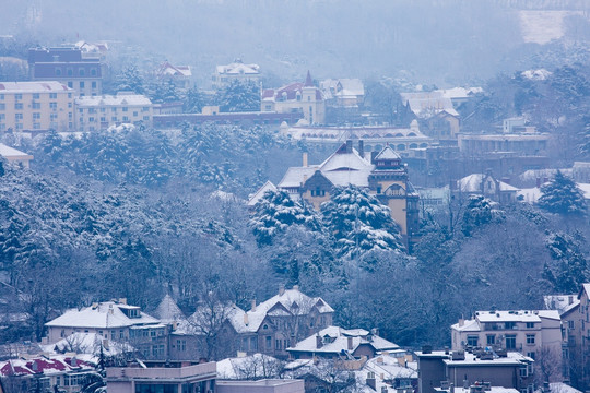 青岛雪景图片