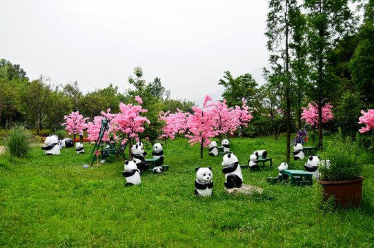 花卉展览