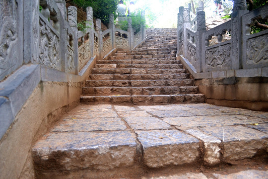 公园风景