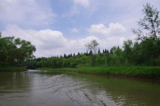 西滩湿地公园