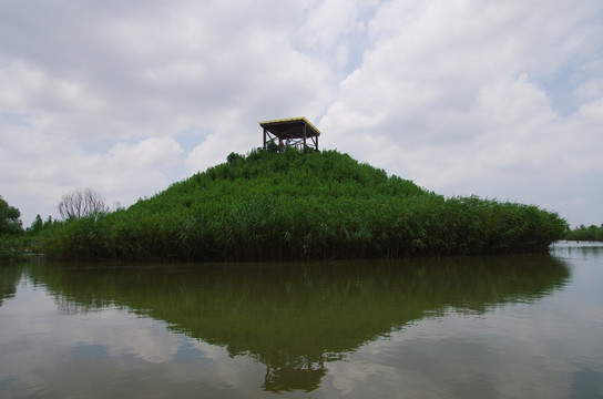 西滩湿地公园