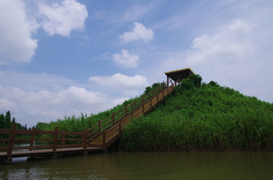 西滩湿地公园