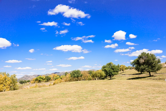 蛤蟆坝附近山丘秋景