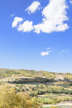 蛤蟆坝附近山丘秋景