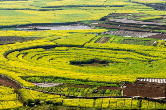 万峰林农村地区