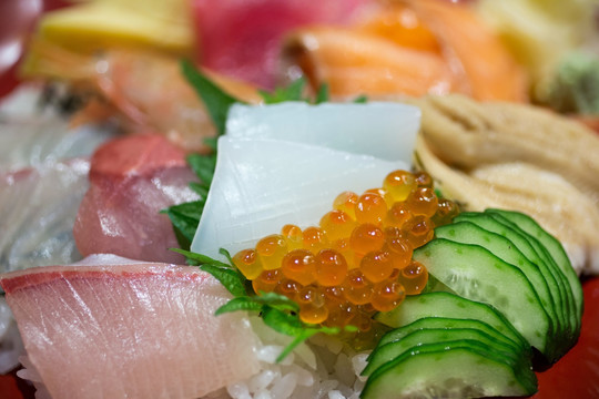 日本美味寿司集