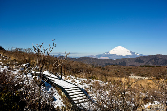 富士山