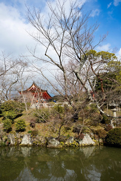 日本清水寺