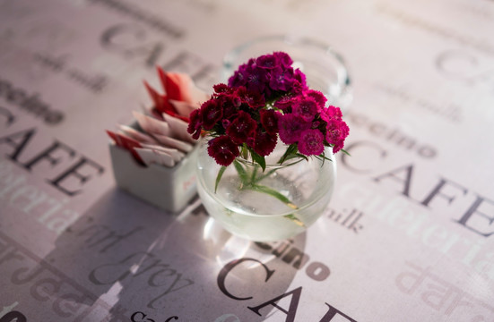 桌上的小鲜花