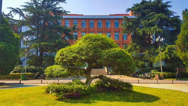 中国科学技术大学