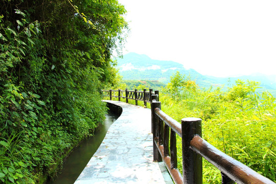 景区栈道 步梯 木梯 游步道