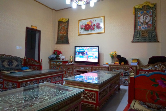藏族民居 藏族客厅 室内内景