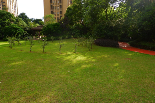 小区 建筑 庭院 园艺 草坪