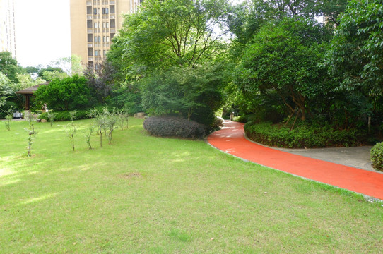 小区 建筑 庭院 园艺 草坪