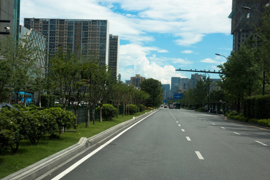 新塘路 马路 绿化 （1）