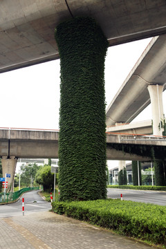 上海高架路