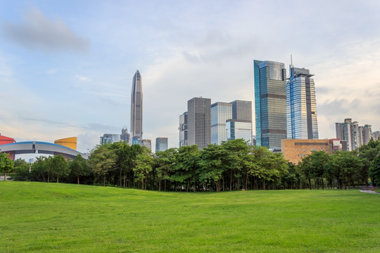 深圳市中心的建筑和草地