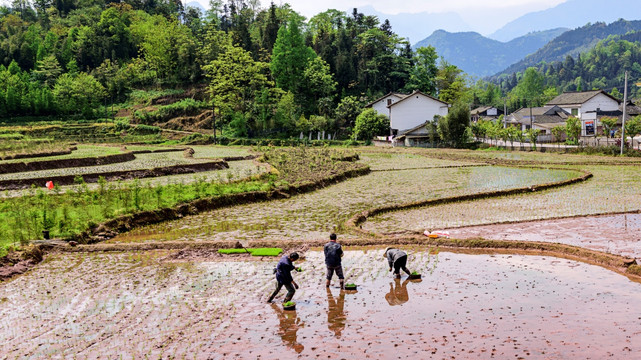 高庙梯田