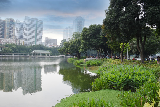 湖畔风景