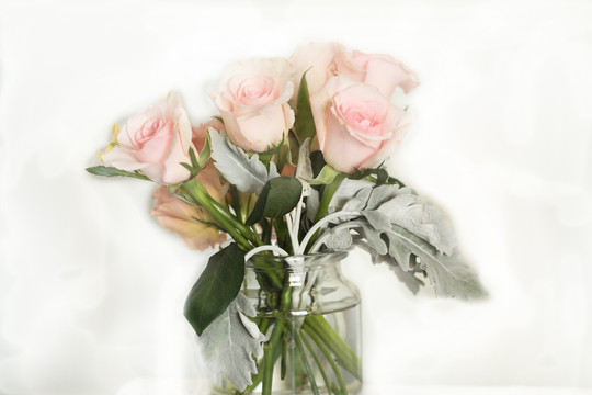 花卉 插瓶 装饰 玫瑰