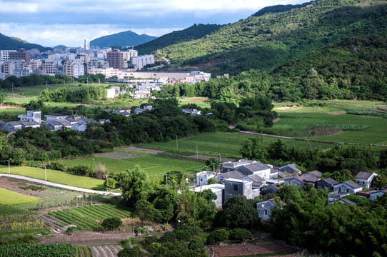 岭南田园风光 绿色田园 乡村