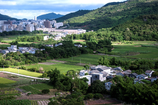 岭南田园风光 绿色田园 乡村