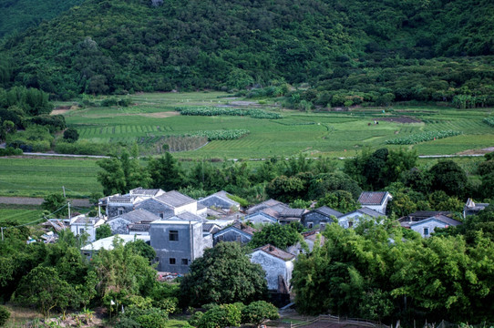 岭南田园风光 绿色田园 乡村