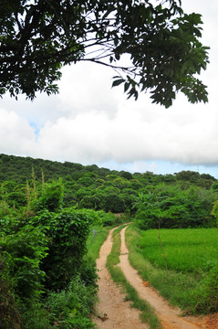 岭南田园风光 绿色田园 乡村