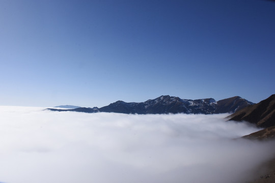 夹金山的云海