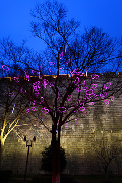 彩灯 城市亮化 春节 树木