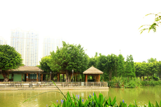 晋江绿洲公园