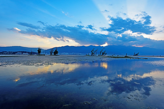 油画风景