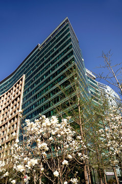 北京高层建筑