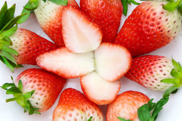 草莓 奶莓 甜宝 九号 明玉