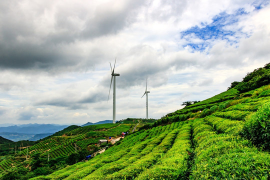茶山 发电机 风力发电机