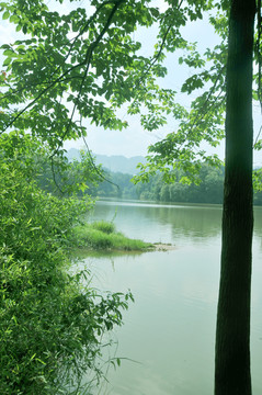 重庆丁山湖