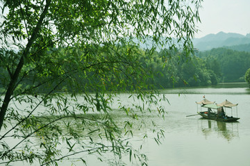 丁山湖 柳树 船