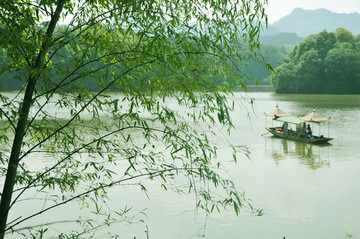 丁山湖图片 柳树 船