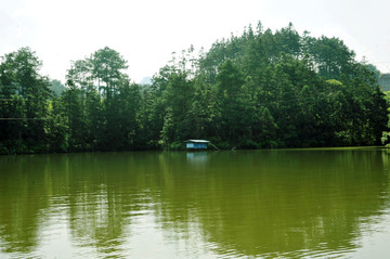 重庆綦江丁山湖 避暑休闲