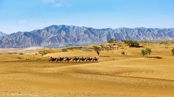 鸣沙山 沙漠 驼队