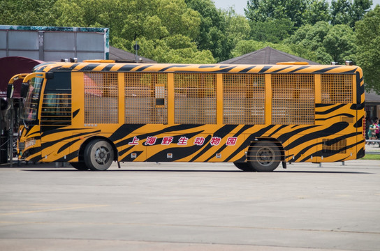 上海野生动物园投喂车