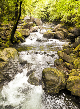 山涧溪流