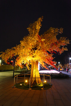 彩灯 城市亮化 树木 春节