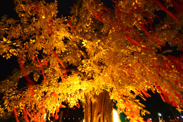 彩灯 城市亮化 树木